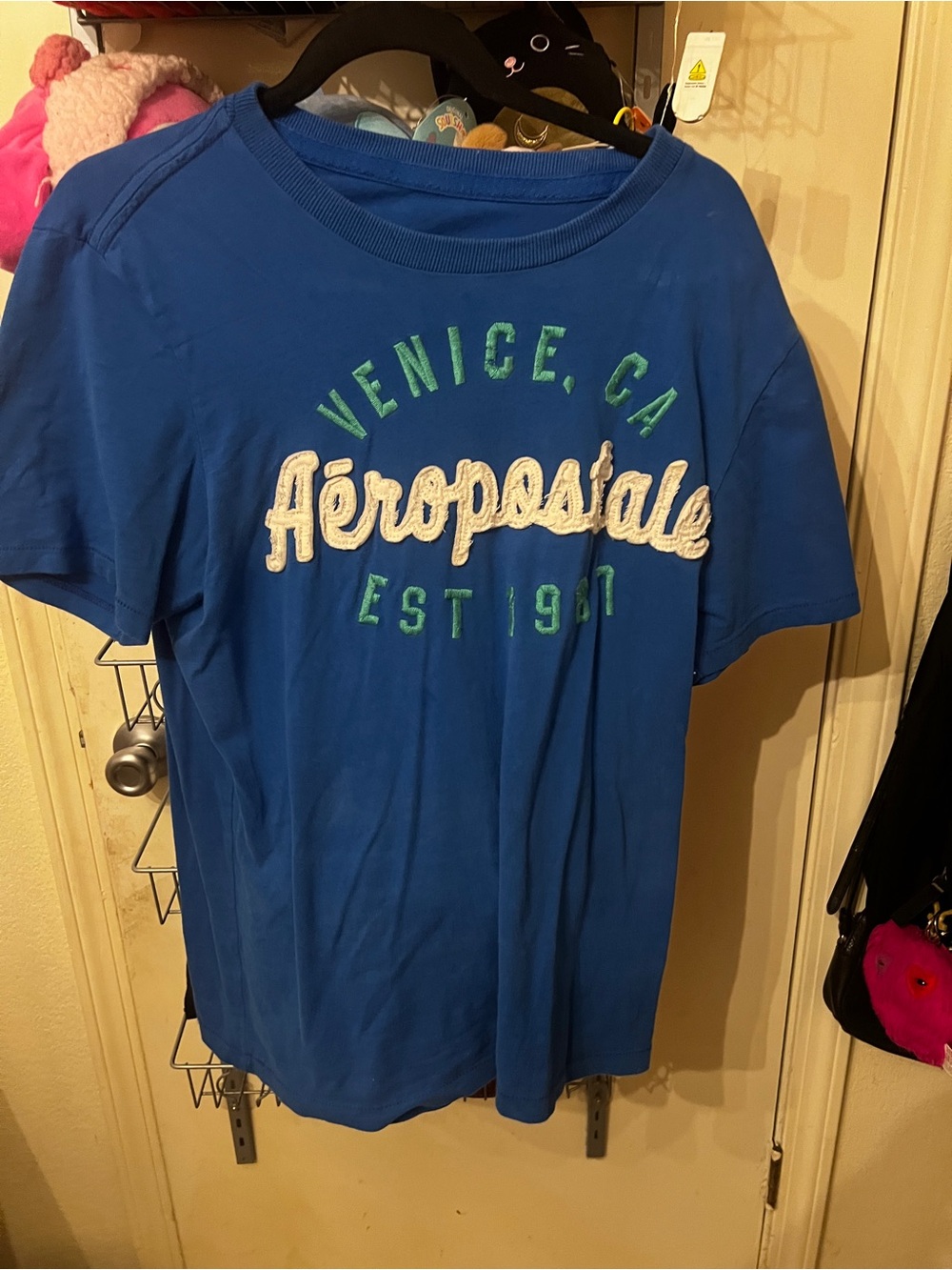 Aeropostale Royal Blue Venice CA Logo Tee with Green Accents